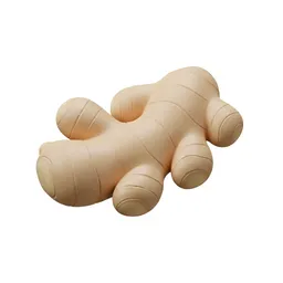 생강