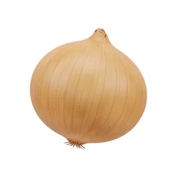 양파