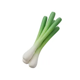 쪽파